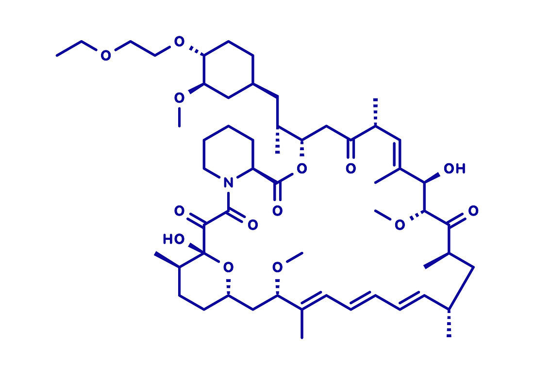 Umirolimus immunosuppressant molecule, illustration