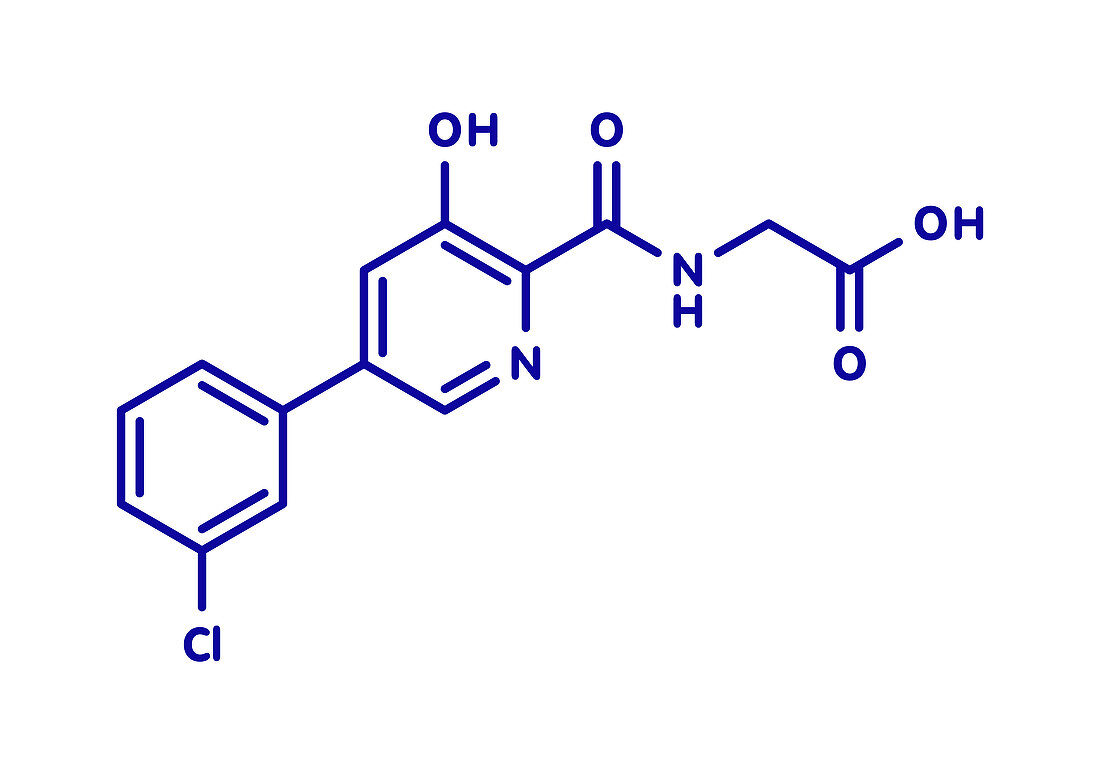 Vadadustat drug molecule, illustration
