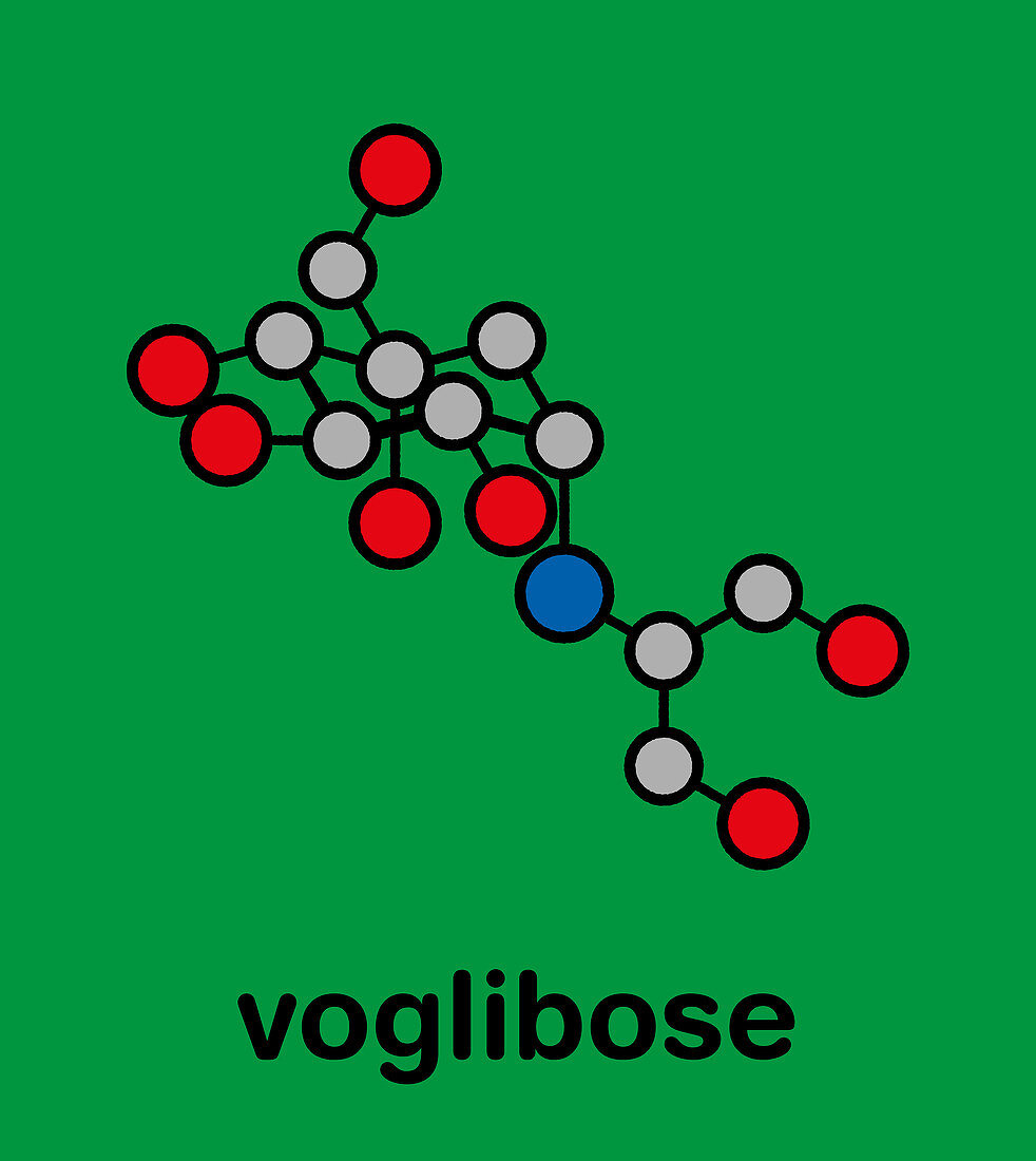 Voglibose diabetes drug molecule, illustration