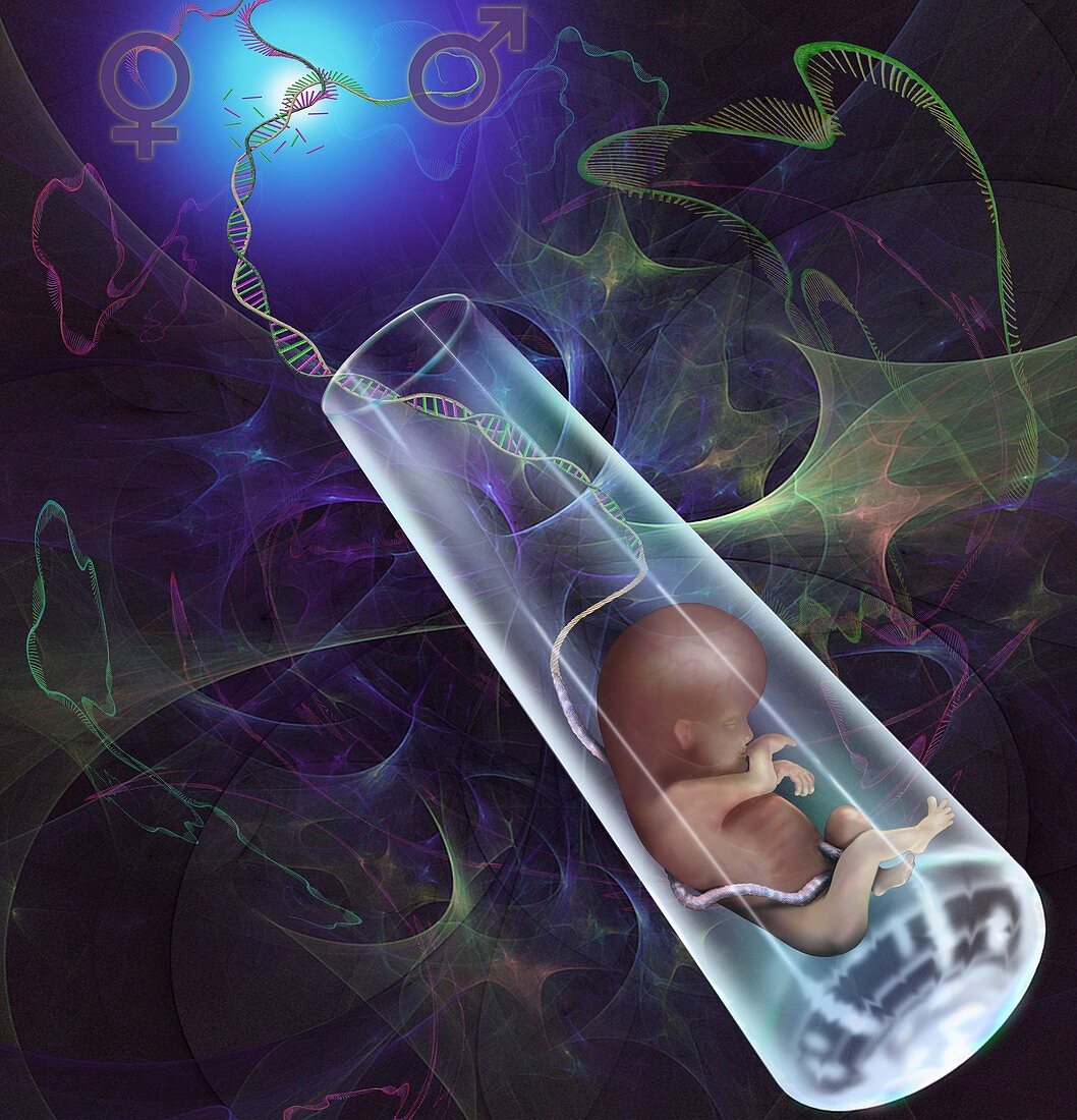 Test tube baby, conceptual illustration