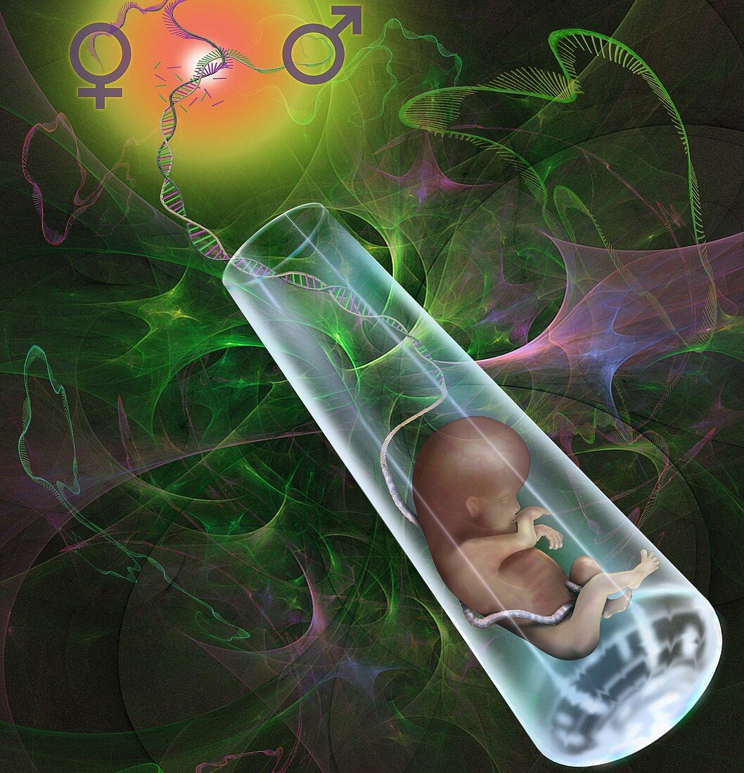 Test tube baby, conceptual illustration
