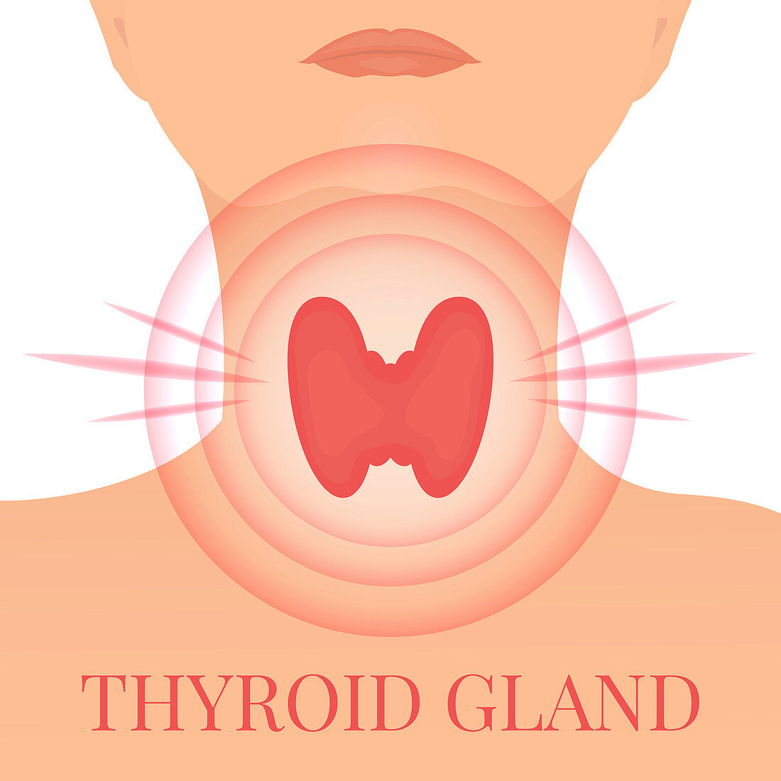 Thyroid gland disease, conceptual illustration