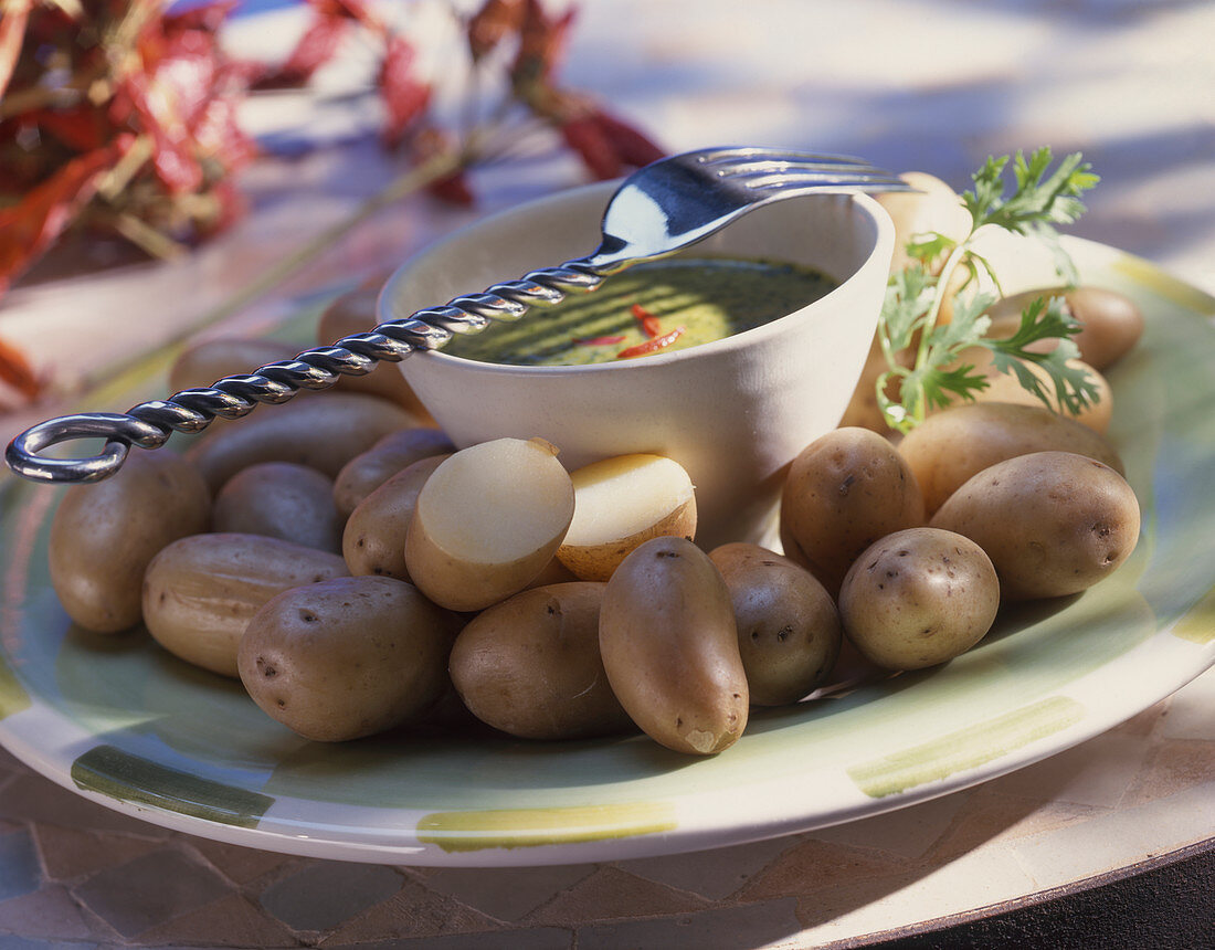 Kartoffeln mit Kräutersauce