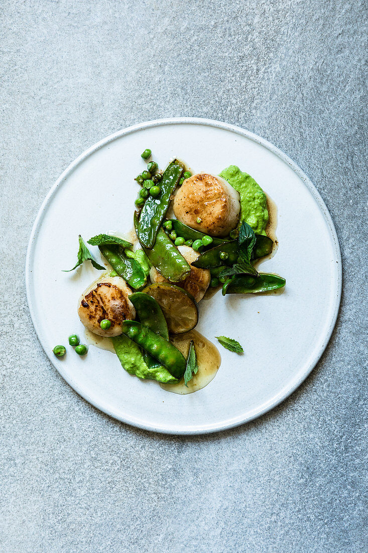 Minziges Erbspüree mit Jakobsmuscheln und brauner Limetten-Butter