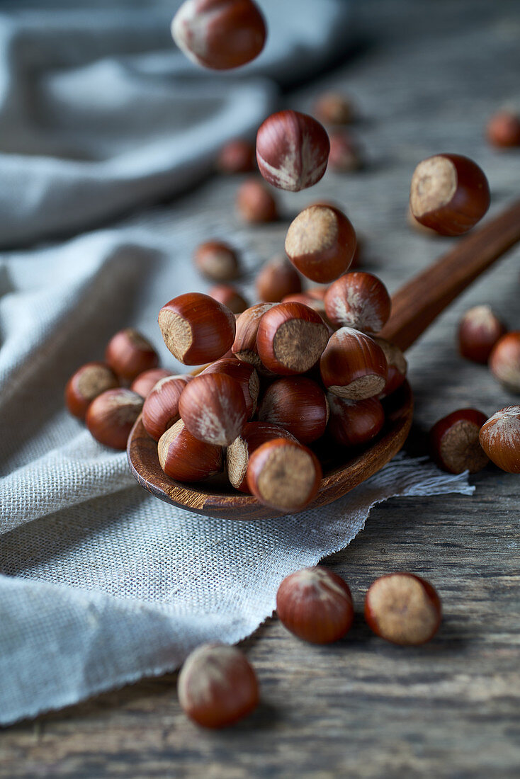 Hazelnuts on a wooden spoon