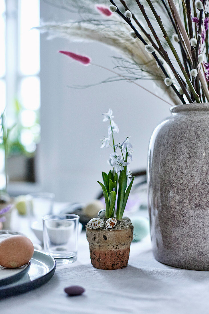 White Star-of-Bethlehem planted in terracotta pot decorated with eggs on set table