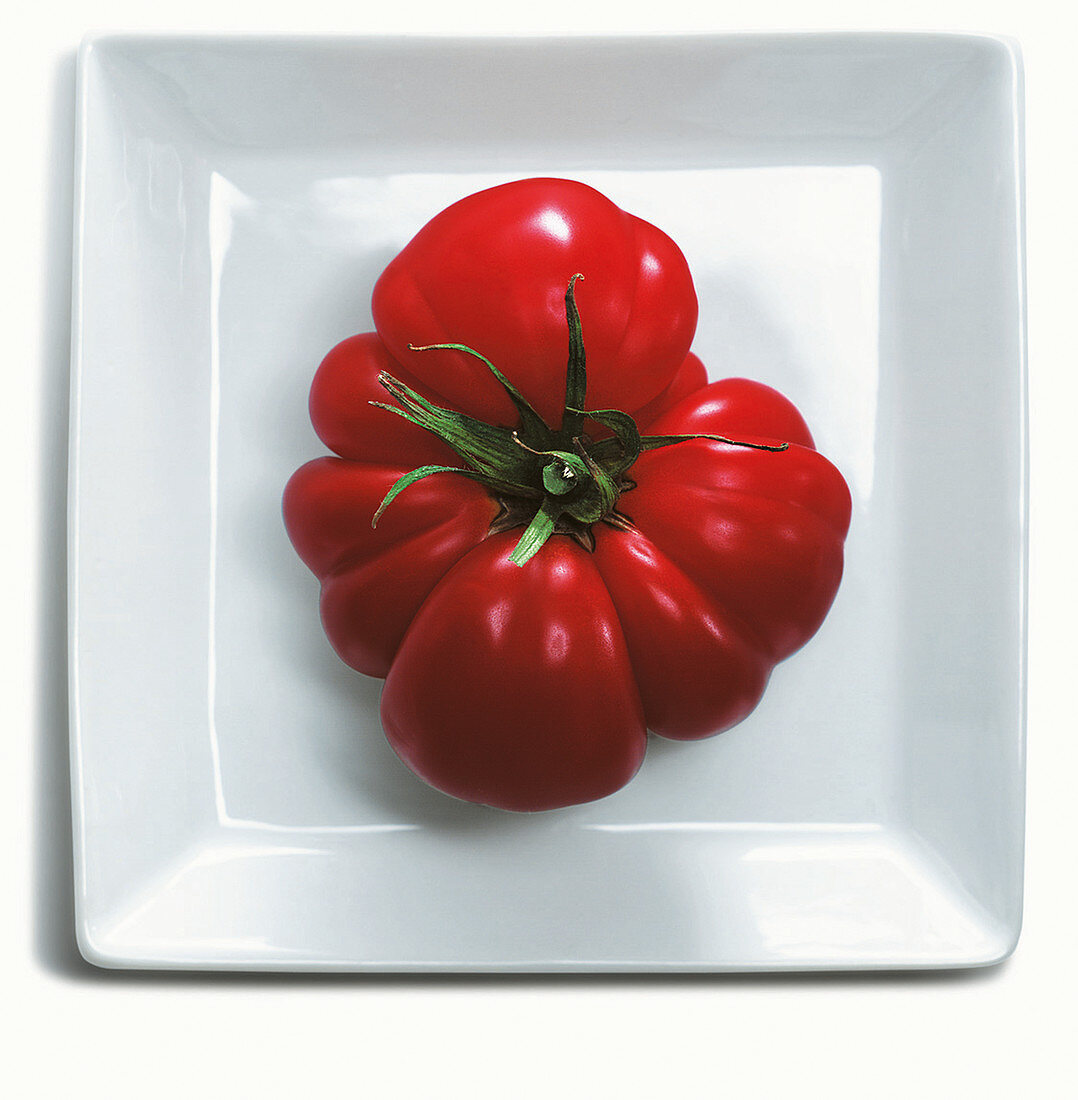 Tomate auf quadratischem Teller