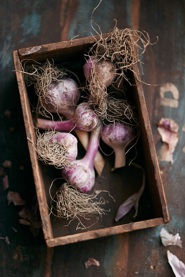Bulbs of garlic in a wooden box