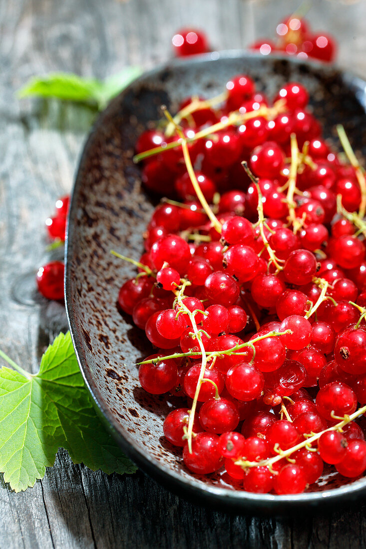 Frische rote Johannisbeeren auf Keramikteller