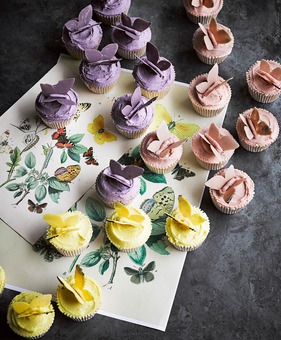 Butterfly cupcakes