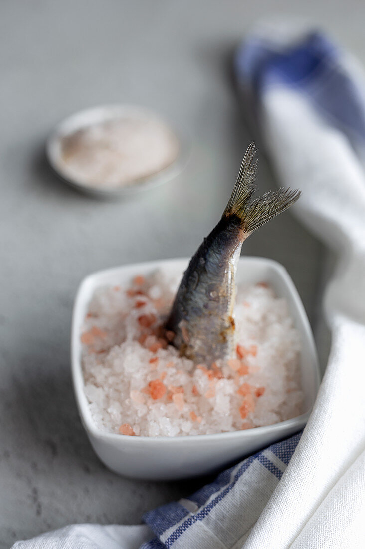 Sardine steckt in einer Salzschale