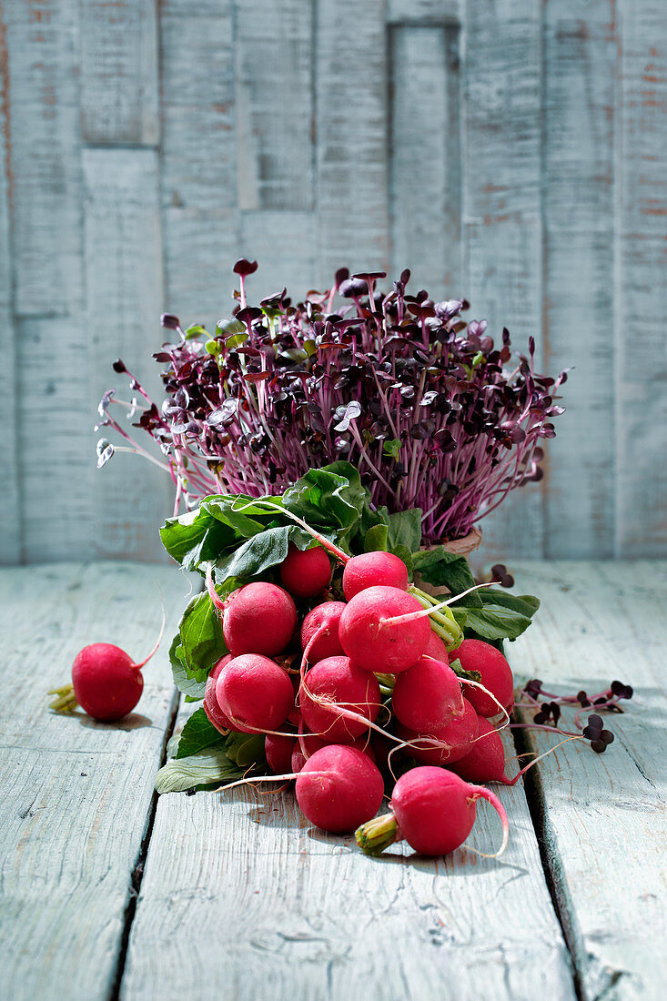 Fresh radishes and fresh radish sprouts