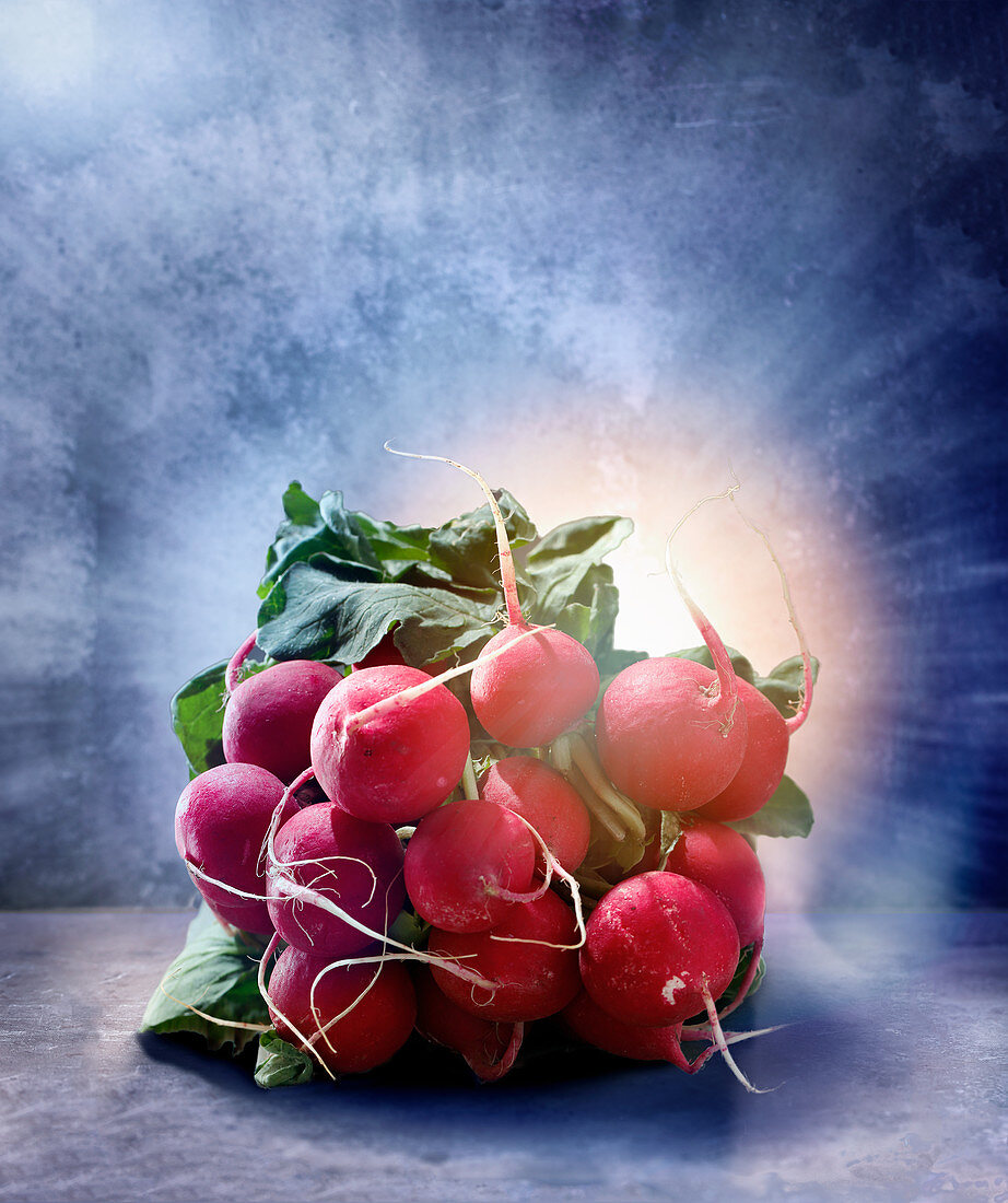 A bunch of radishes against a blue background