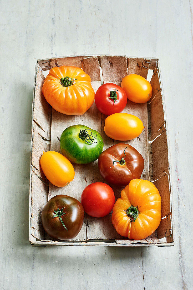 Verschiedene Heirloom Tomaten im Spankorb