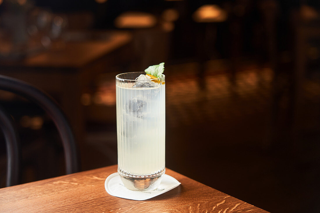 Vodka and tonic cocktail decorated with ice and mint leaves on dark background