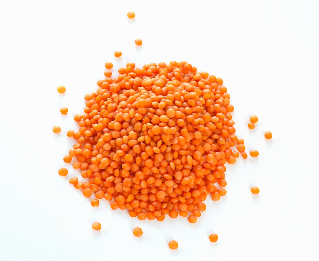 A heap of red lentils on a white background