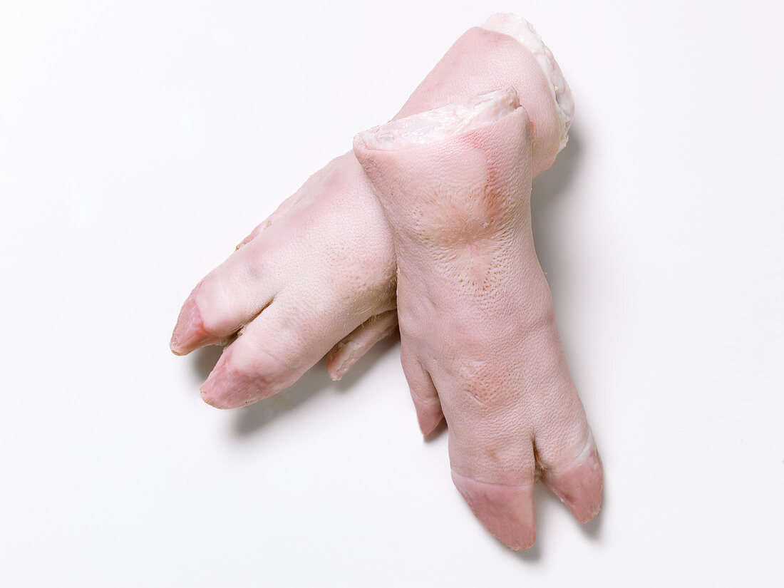 Two raw pigs feet on a white background