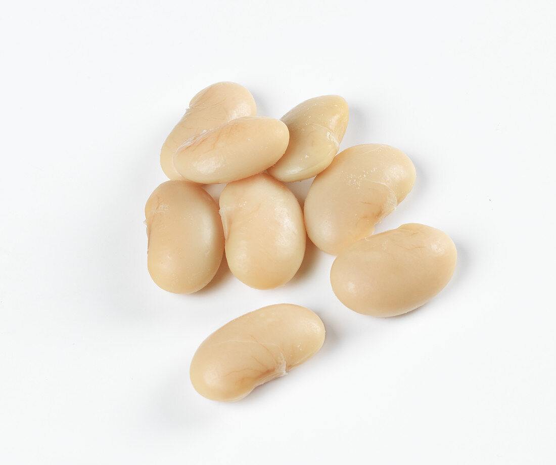 White beans on a white background