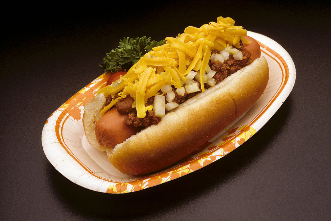 Street vendor Chili Dog with cheese and onions in a bun