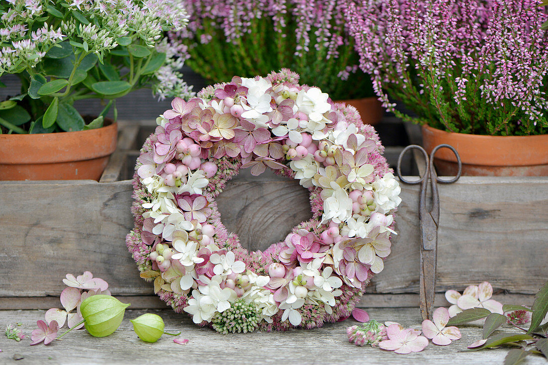 Autumn wreath of hydrangea flowers, sedum, and snowberries