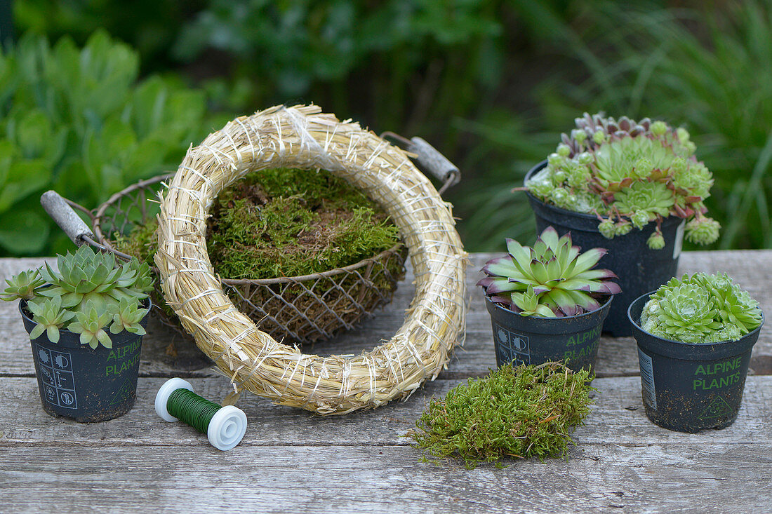 materials to make a wreath from houseleeks