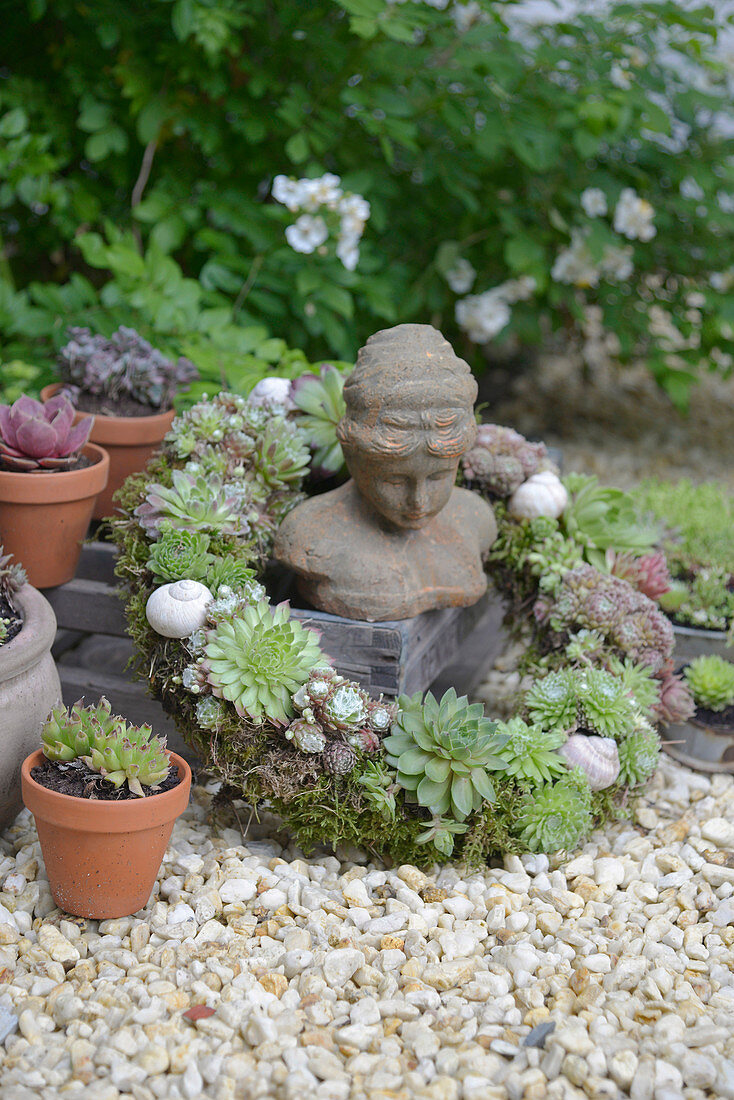 Wreath of various houseleek plants with moss and snail shells