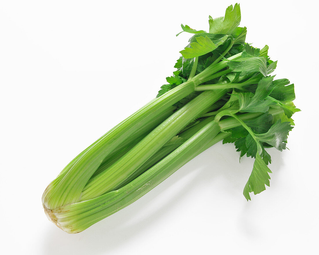 A fresh celery stalk on a white background