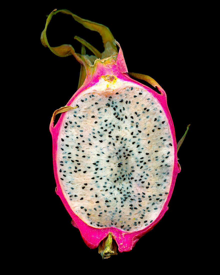 A halved pink pitahaya against a black background