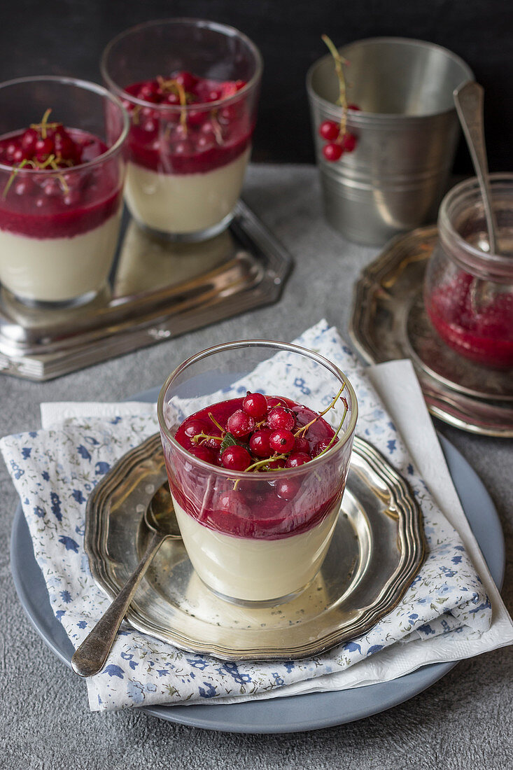 Weisse Schokoladencreme mit Johannisbeersauce