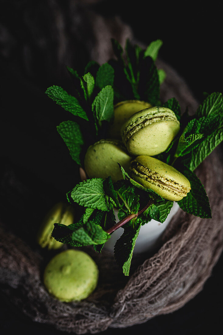 Homemade green macarons with mint on dark background