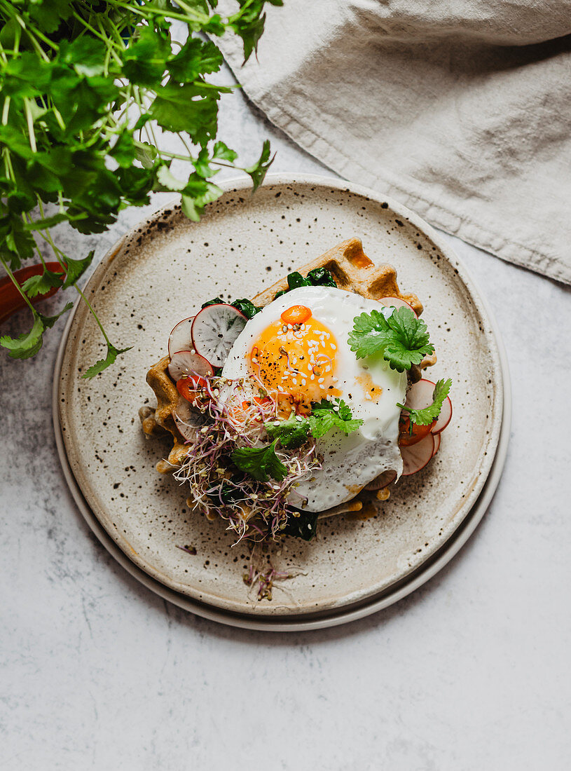 Vegeterian waffle with fried egg and radish