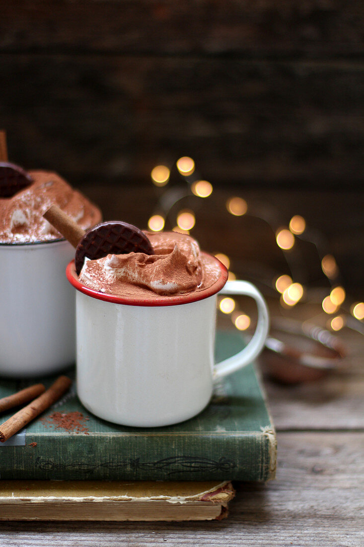 Hot chocolate with cream in an enamel mug