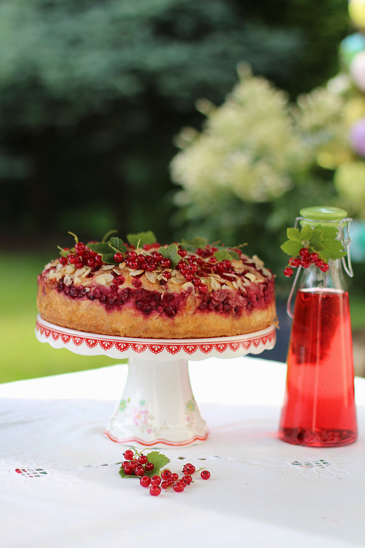 Redcurrant cake on a garden table