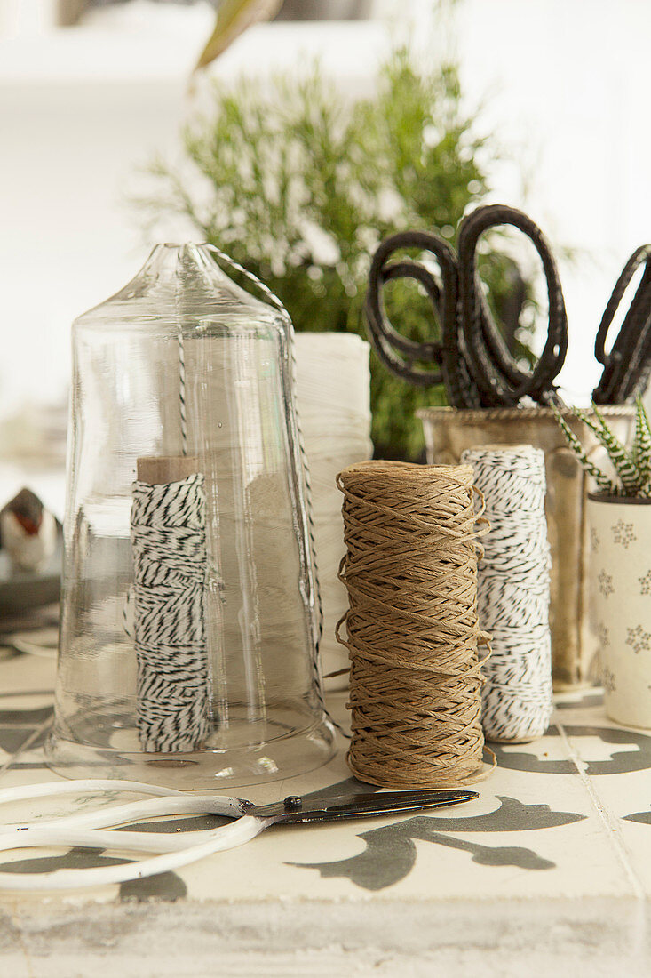 Utensils for making plant hanger: Glass jar, twine, scissors and plants