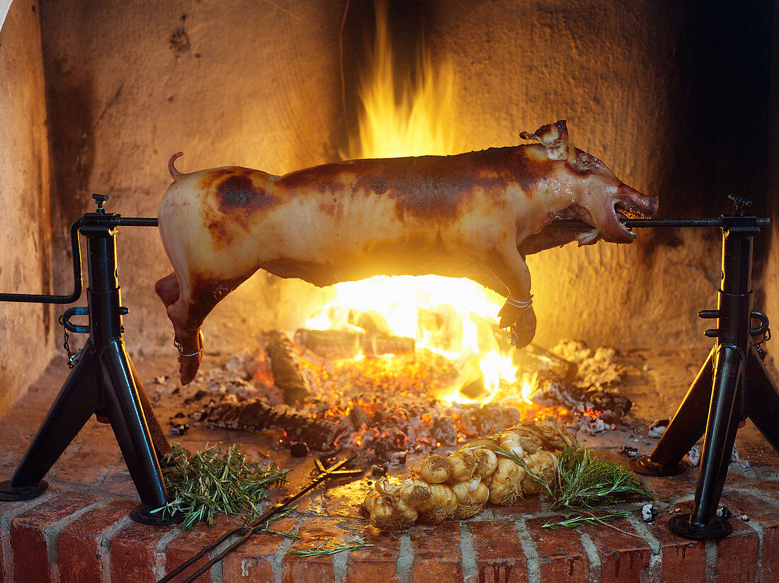 A suckling pig on a rotisserie over a fire