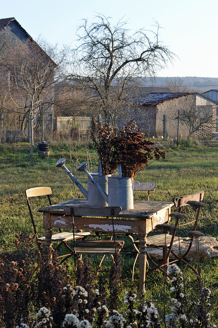 Table and chair in rustic garden in late autumn: dried sedum in zinc watering cans on table
