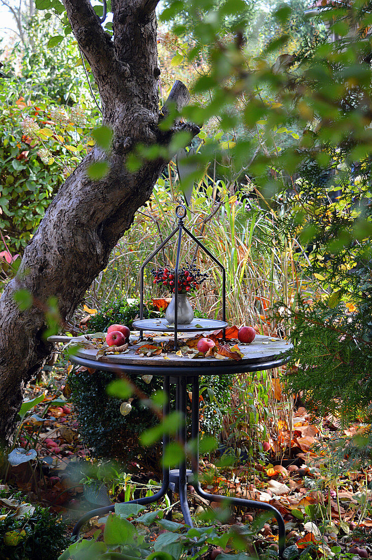Posy of rose hips and privet berries on table in garden decorated with apples and autumn leaves