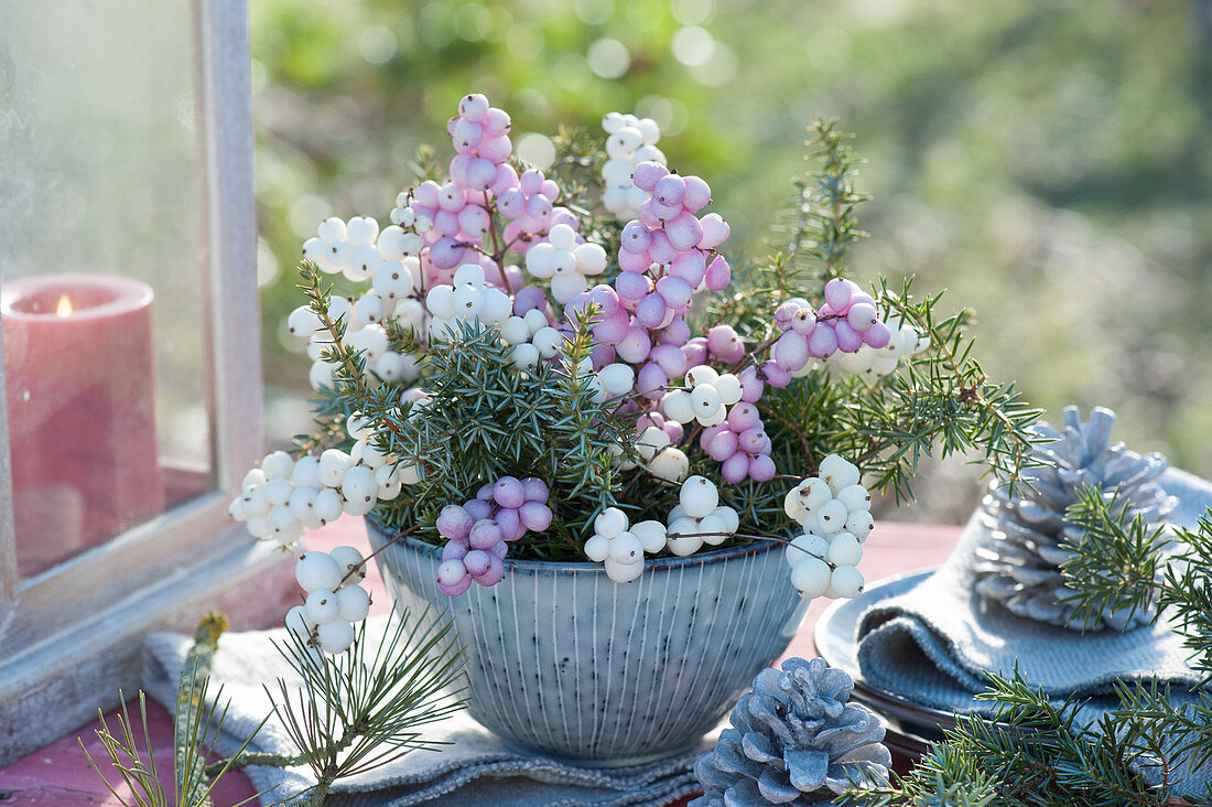 Autumn flower arrangement with snowberries and juniper branches in bowl