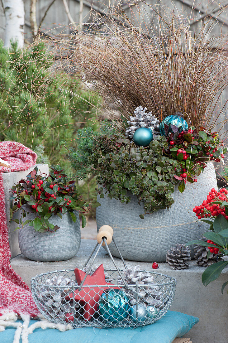 Christmas pot arrangement with pseudo-berries, carpet sedum 'Fuldaglut', tripmadam and autumn sedge, balls, star and cones as decoration