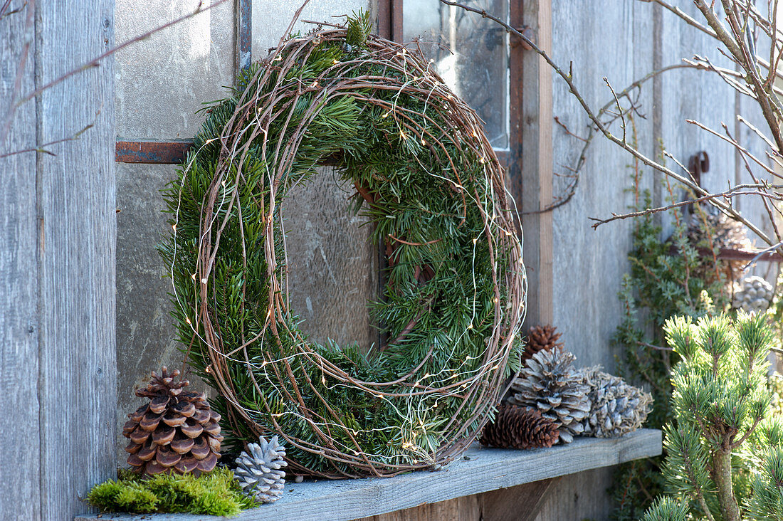 Wreath of fir and tendrils from the wild wine with fairy lights and cones on the shed window