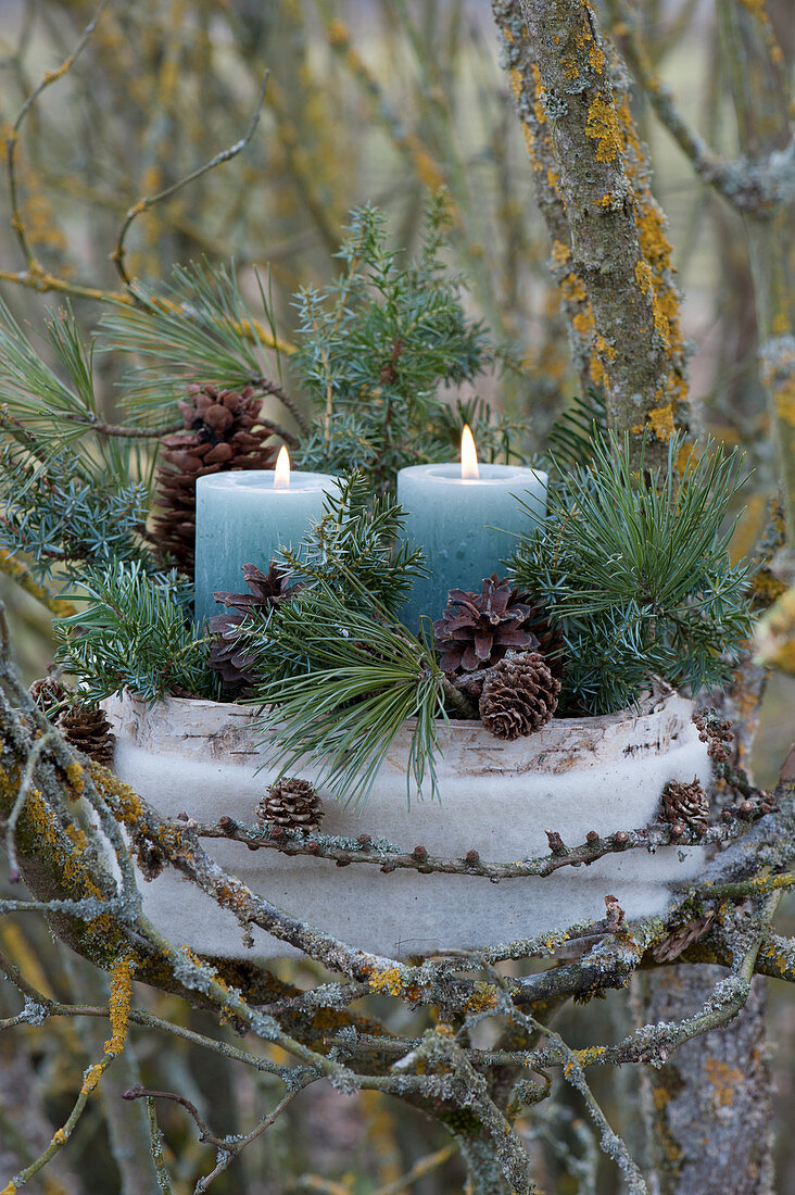 Arrangement with candles, cones and with branches of pine and juniper in the branches