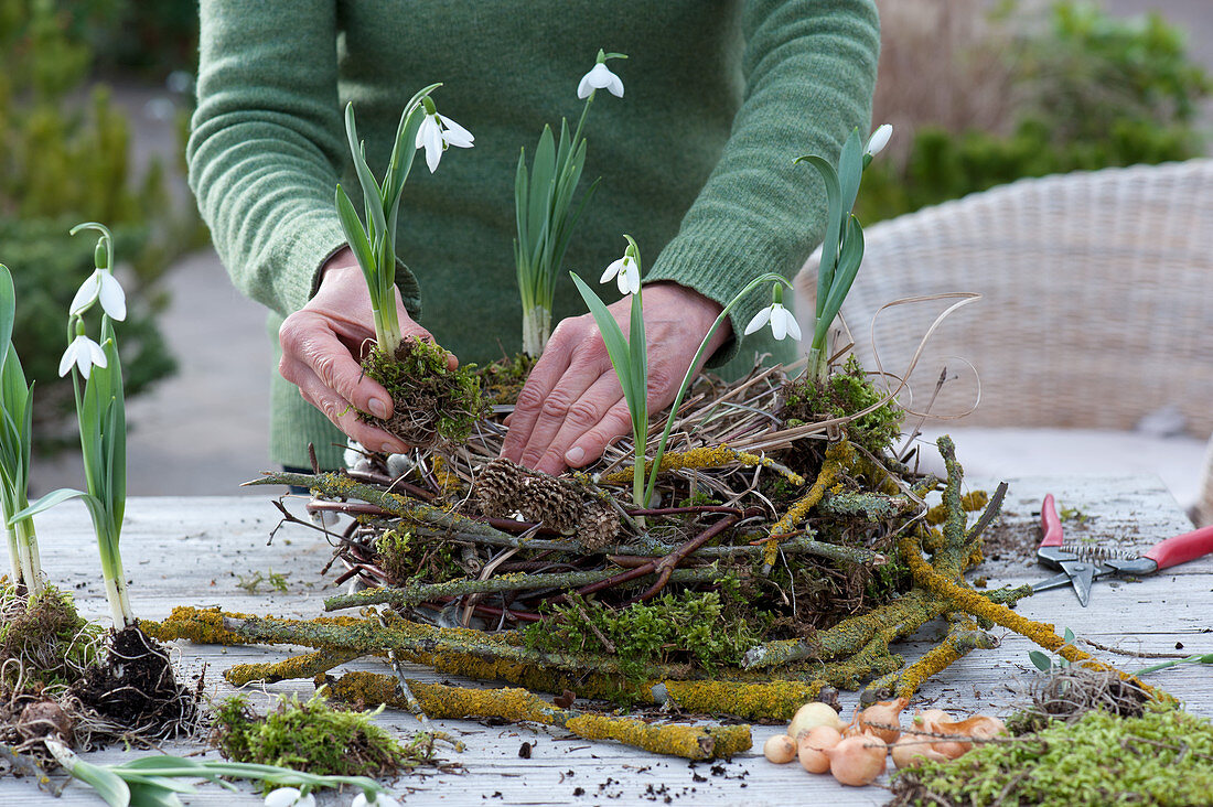 Snowdrops in a wreath of twigs: Woman puts snowdrops in moss in a lichen-covered twigs wreath, birch, willow and grass