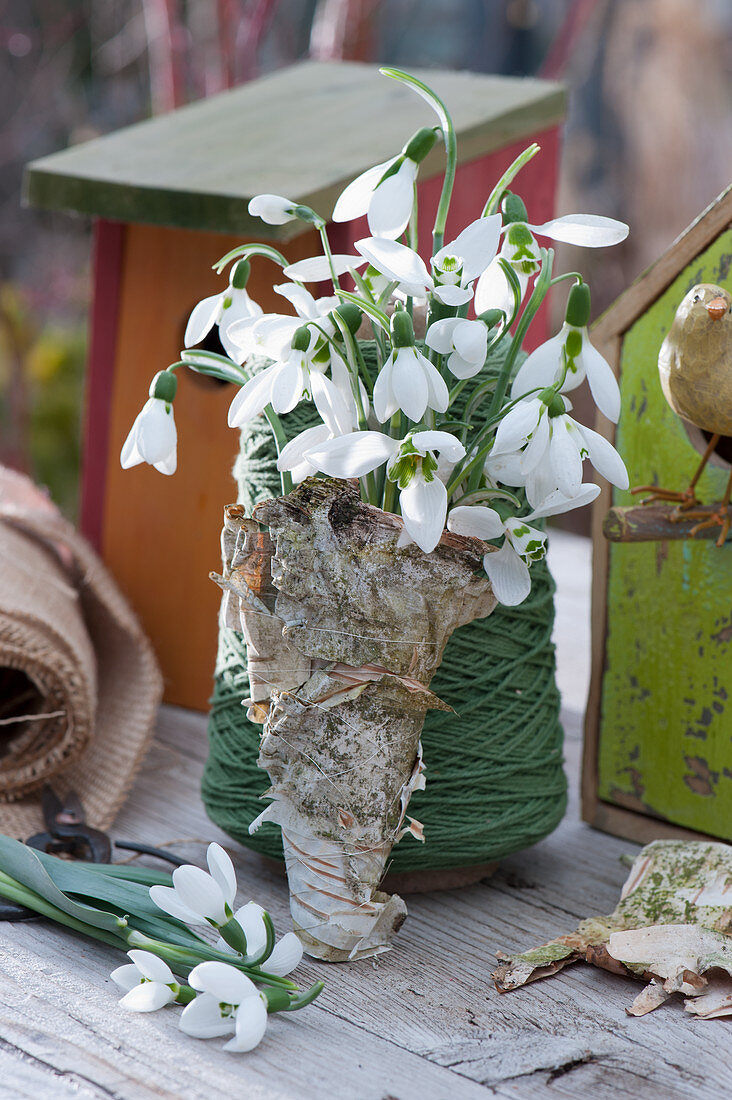 Bouquet of snowdrops in birch bark