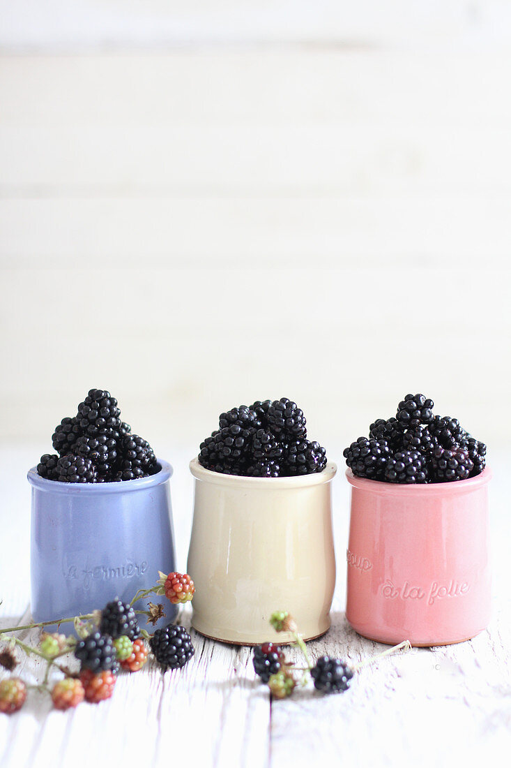 Blackberries in ceramic cups