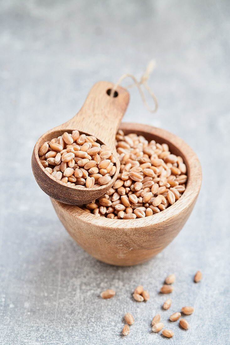 Wheat grains in a wooden bowl and a wooden scoop
