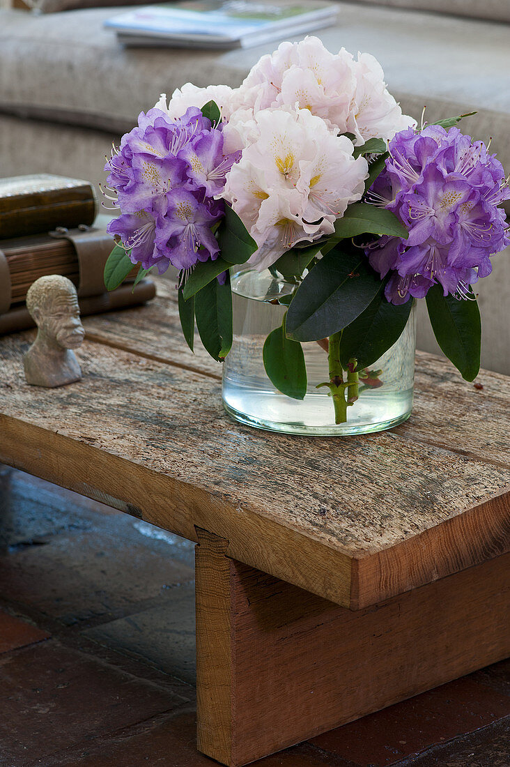 Rhododendron in Lila und Weiß auf rustikalem Couchtisch aus Holz