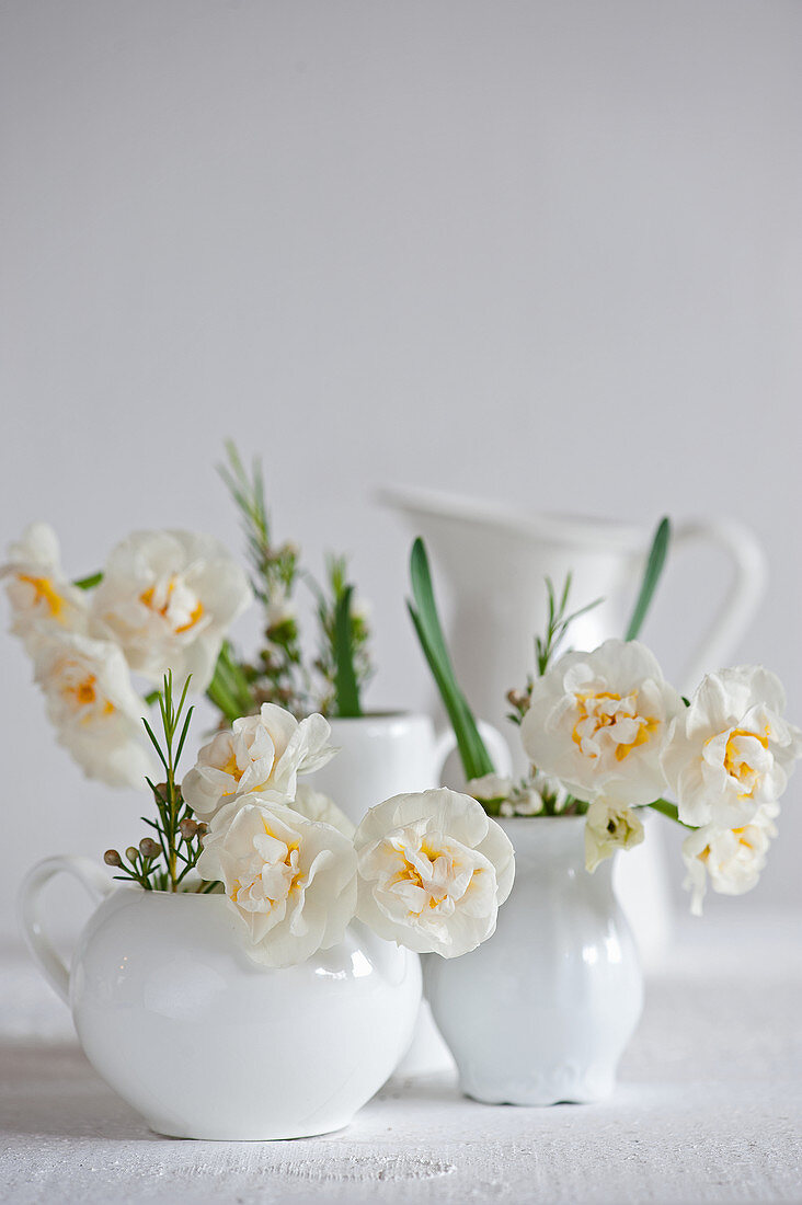 Narcissus and Australian waxflowers in white milk jugs