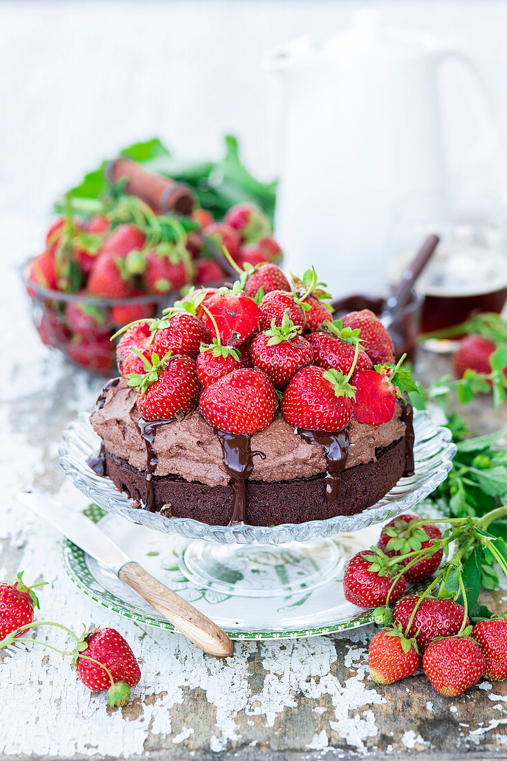 Schokoladen-Erdbeer-Kuchen