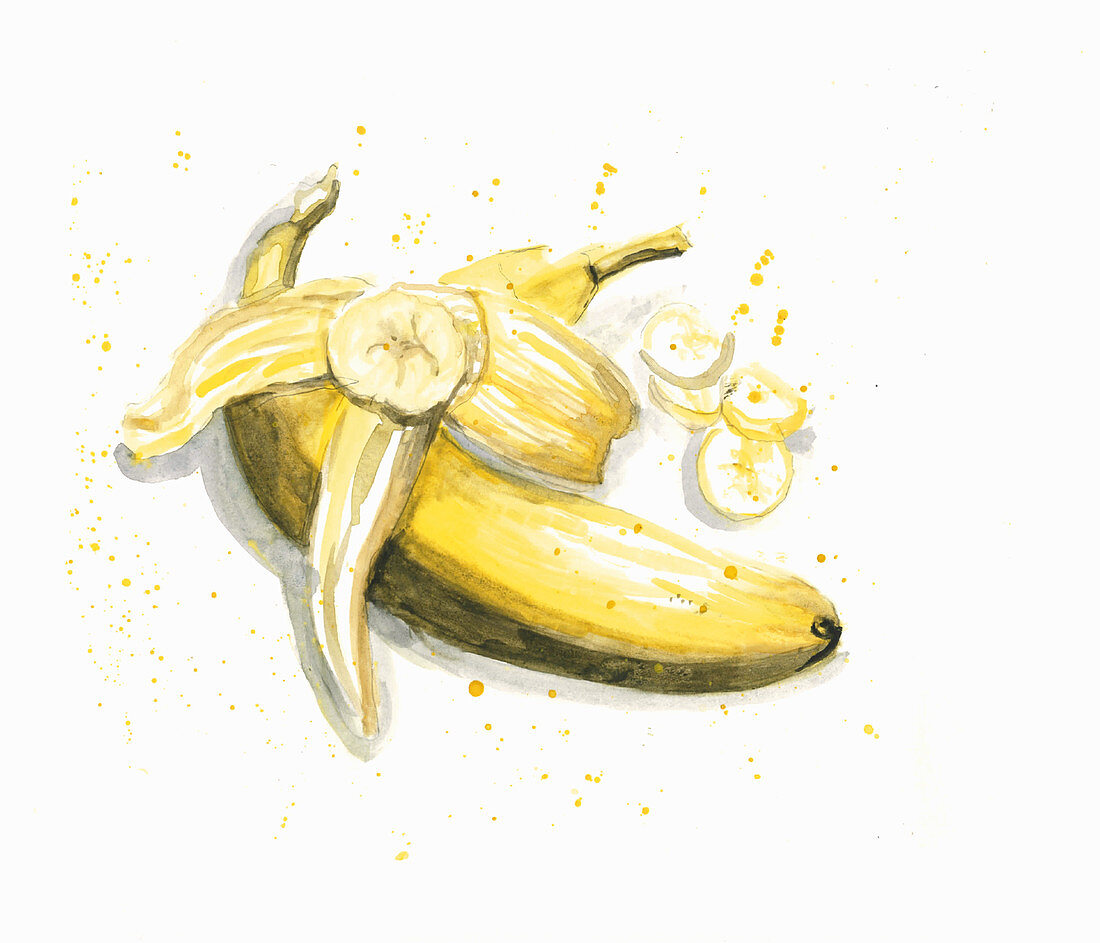 An illustration of bananas
