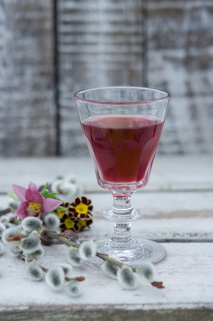 Glass of chokeberry juice, pasque flower (Pulsatilla vulgaris), willow catkins and primulas